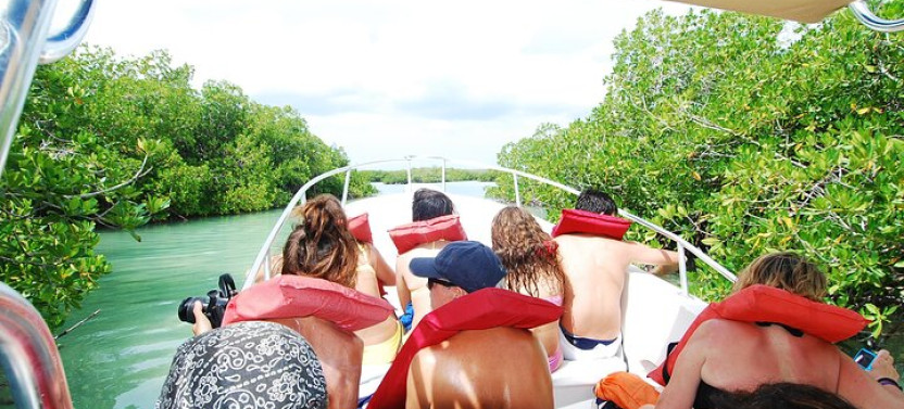 Isla Saona Speedboat Adventure - Lunch, Wildlife & Natural Pools