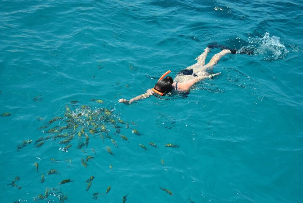 Montego Bay: Private Afternoon Catamaran Open Bar and Snorkeling