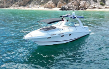 BoatTripsClub6