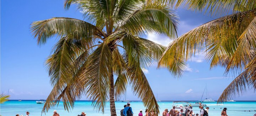 8-Hour Private Catamaran to Isla Saona & Palmilla with an Open Bar