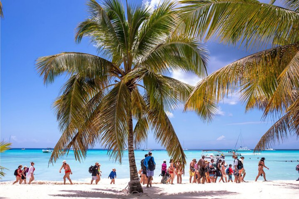 8-Hour Private Catamaran to Isla Saona & Palmilla with an Open Bar