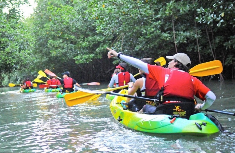 guided clear bottom kayak bio bay tour