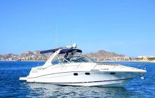 BoatTripsClub9