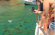 BoatTripsClub13