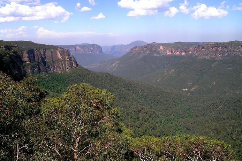 Blue Mountains Private Tours with Wildlife Park