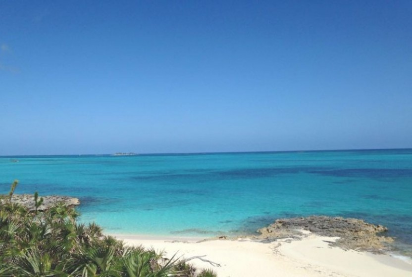 Full Day Excursion to a Semi-Private Island + Pigs from Nassau