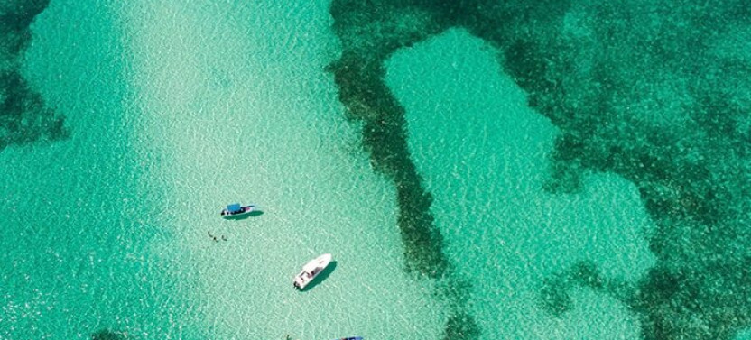 Private Isla Saona Boat Tour – Snorkeling Premium Drinks & Buffet