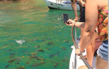 BoatTripsClub15