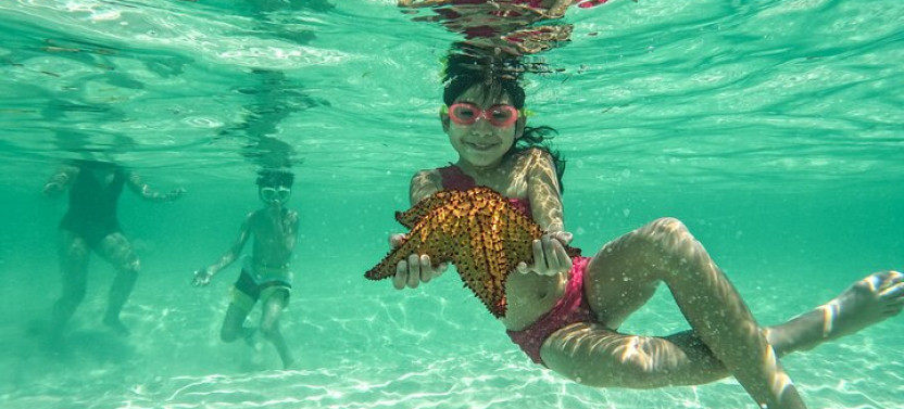 Saona Island Catamaran Cruise With Natural Pool, Lunch & Open Bar
