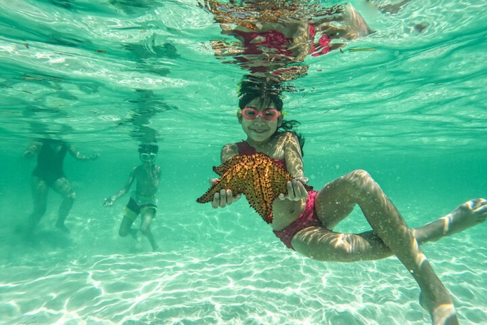 Bayahibe Catamaran: Isla Saona Cruise with Lunch & Open Bar
