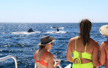 BoatTripsClub6