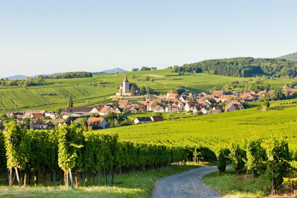 wine trips from colmar