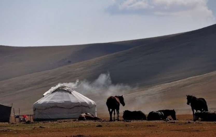 Camel riding Safaris in the Steppes of Central Asia