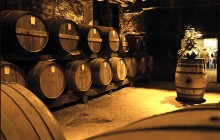 Cognac Private Wine Tour From Bordeaux