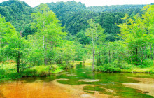 Machinovate Japan Ltd7