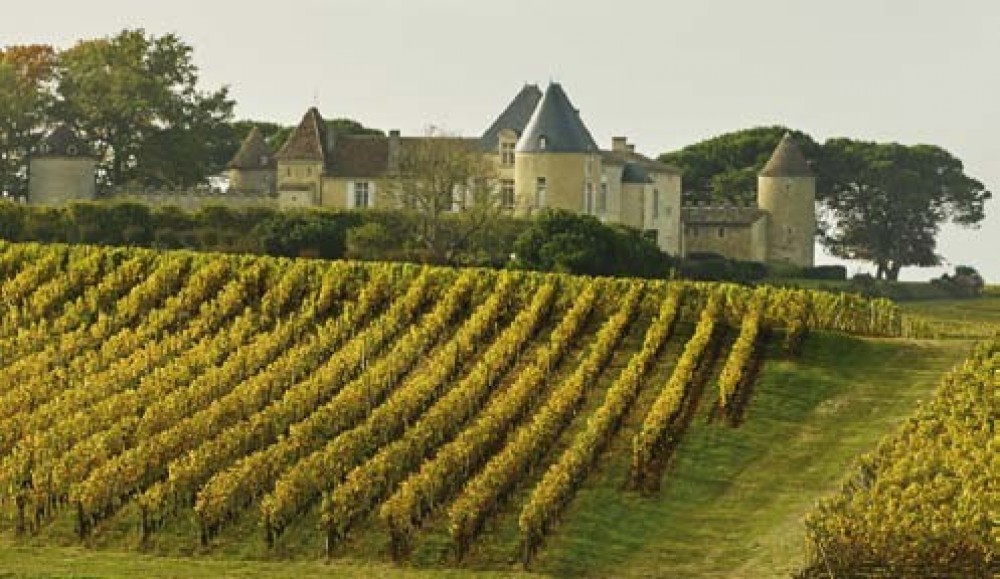 private wine tour in bordeaux