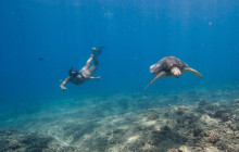 Aloha Ocean5