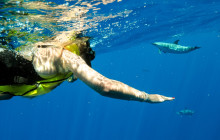 Aloha Ocean11