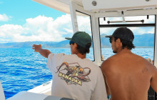 Aloha Ocean12