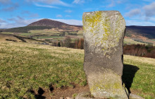 Grampian Escapes and Tours1