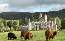 Grampian Escapes and Tours1