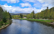 Grampian Escapes and Tours7