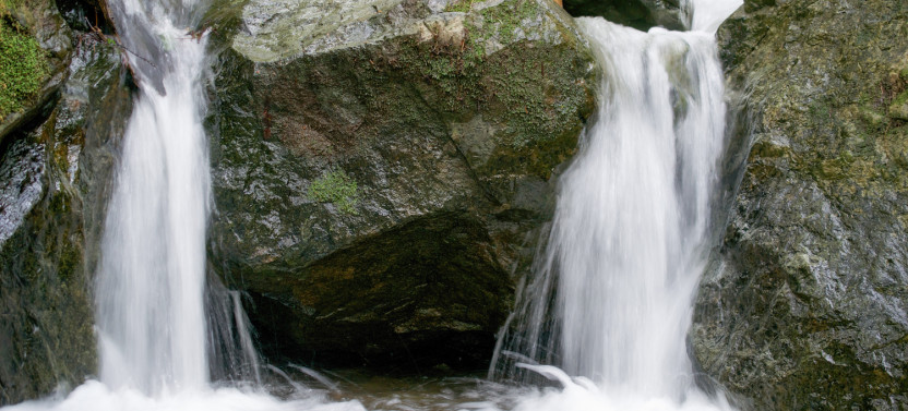 Muir Woods National Monument: Self-Guided Walking and Driving Audio Tour
