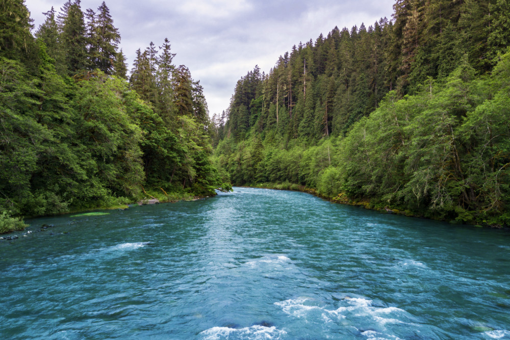 North Cascades National Park: Self-Guided Driving Audio Tour