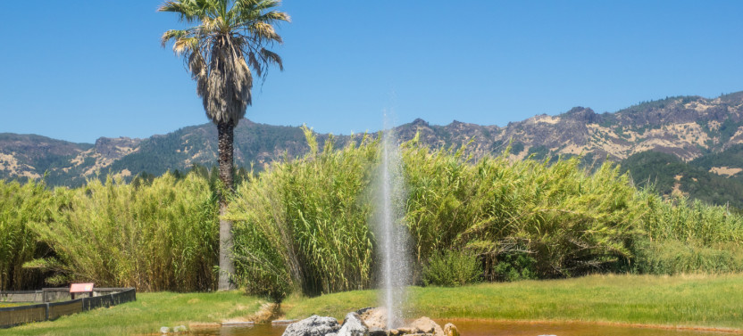 Sonoma & Napa Valley Self-Guided Driving Audio Tour