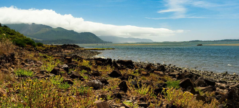 Explore the Oregon Coast: Scenic Driving Tour