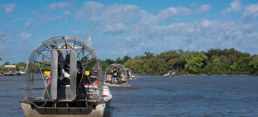 Discover Louisiana’s Creole Nature Trail: Driving Tour
