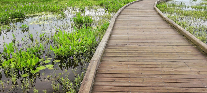 Discover Louisiana’s Creole Nature Trail: Driving Tour