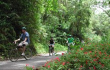 Blue Mountain Bicycle Tour from Ocho Rios