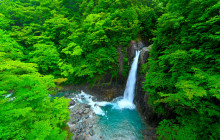 Machinovate Japan Ltd5