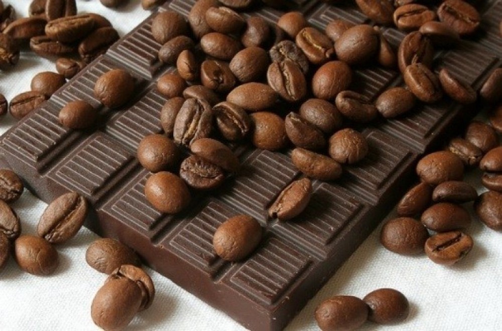 Cozumel Best Coffee & Chocolate Tour Cozumel Project Expedition