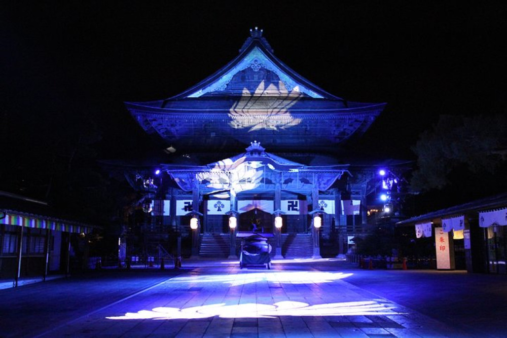 1-Day Snow Monkeys and Zenko-ji Winter Illumination Tour in Nagano