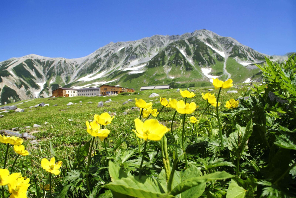 1-Day Tateyama-Kurobe Alpine Route Tour: Walk on the 'Roof of Japan'