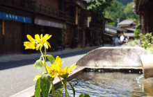 Machinovate Japan Ltd2