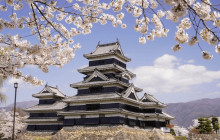 Machinovate Japan Ltd2