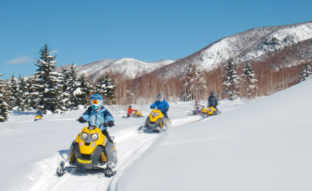 1-Day Snow Monkeys and Snowmobiling Tour in Shiga Kogen with Lunch
