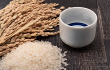 Machinovate Japan Ltd4