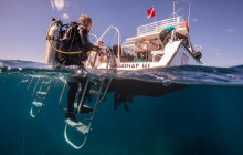 Kohala Divers34