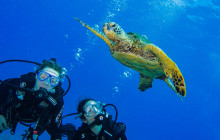 Kohala Divers42