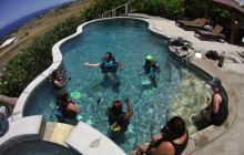 Kohala Divers43