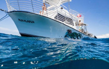 Kohala Divers48
