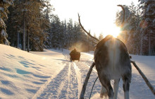 Lapland Royal Adventures1