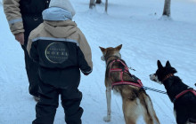 Lapland Royal Adventures2