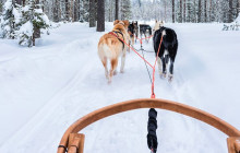 Lapland Royal Adventures3