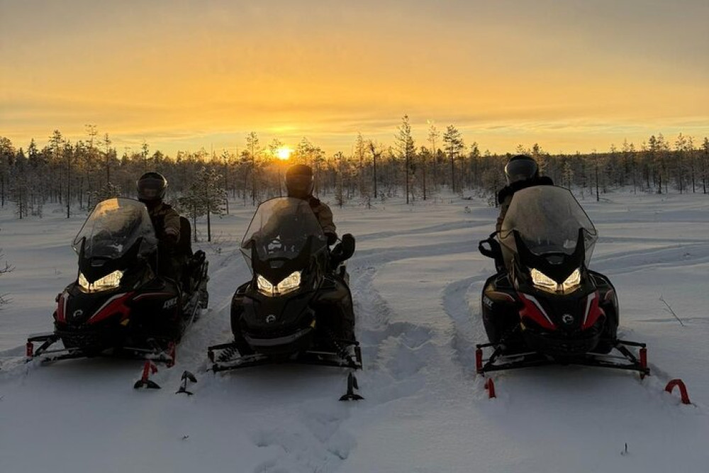 Husky Ride, Reindeer Ride, and Snowmobiling Day Experience