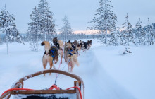 Lapland Royal Adventures4